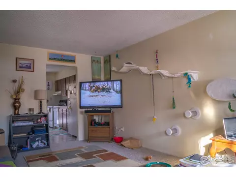 532 Prospect St, Lyons, CO 80540 photo 29