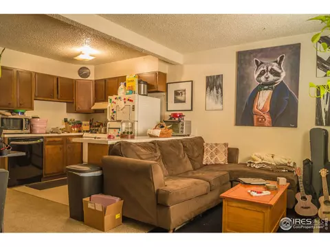 532 Prospect St, Lyons, CO 80540 photo 13