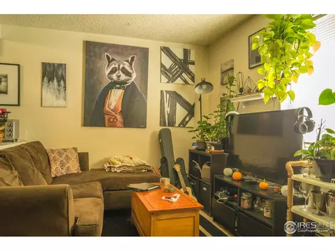 532 Prospect St, Lyons, CO 80540 photo 14