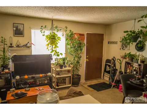 532 Prospect St, Lyons, CO 80540 photo 12