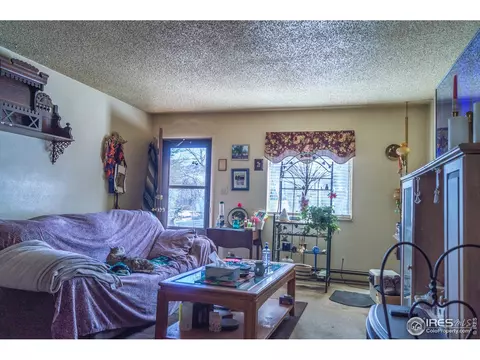 532 Prospect St, Lyons, CO 80540 photo 23