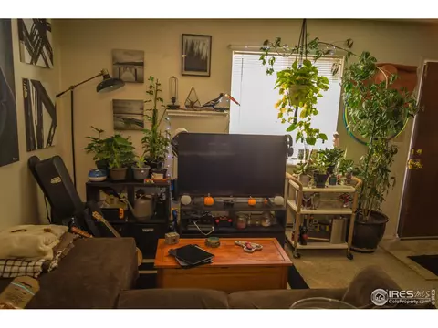 532 Prospect St, Lyons, CO 80540 photo 15