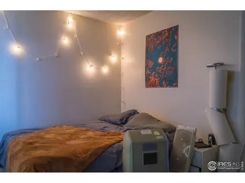 532 Prospect St, Lyons, CO 80540 photo 18
