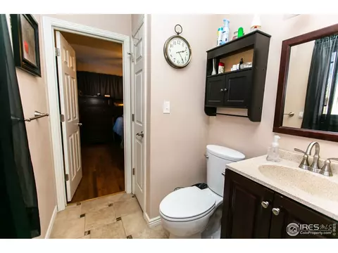 724 Locust St, Windsor, CO 80550 photo 22