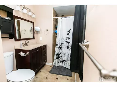 724 Locust St, Windsor, CO 80550 photo 21