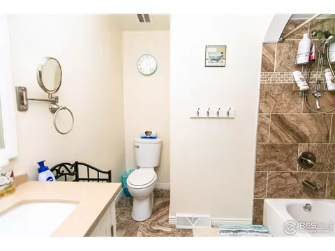 724 Locust St, Windsor, CO 80550 photo 26