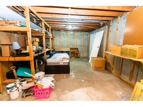 724 Locust St, Windsor, CO 80550 photo 36