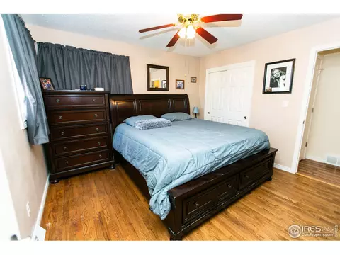 724 Locust St, Windsor, CO 80550 photo 19