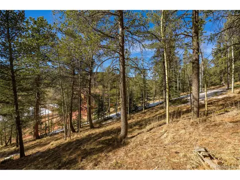 188 Timber Ridge Rd, Divide, CO 80814 photo 2