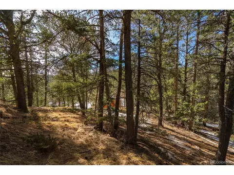 188 Timber Ridge Rd, Divide, CO 80814 photo 10