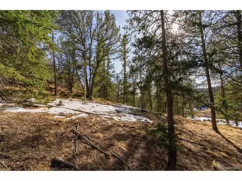 188 Timber Ridge Rd, Divide, CO 80814 photo 5