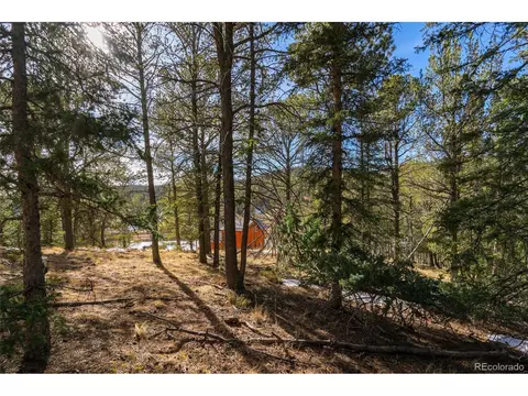 188 Timber Ridge Rd, Divide, CO 80814 photo 6