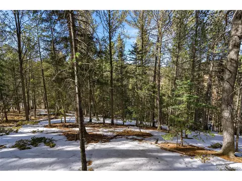 188 Timber Ridge Rd, Divide, CO 80814 photo 7