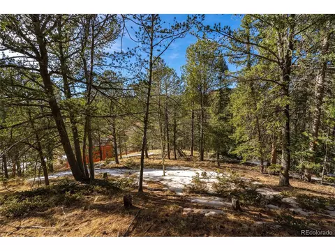 188 Timber Ridge Rd, Divide, CO 80814 photo 11