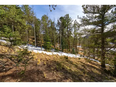 188 Timber Ridge Rd, Divide, CO 80814 photo 4