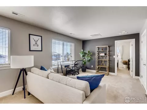 8488 Poppy Loop, Arvada, CO 80007 photo 27