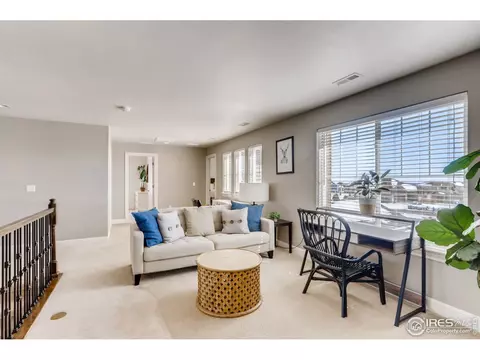 8488 Poppy Loop, Arvada, CO 80007 photo 28