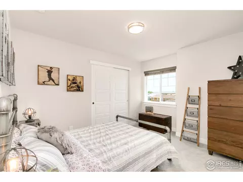242 E Chestnut St #2, Windsor, CO 80550 photo 17