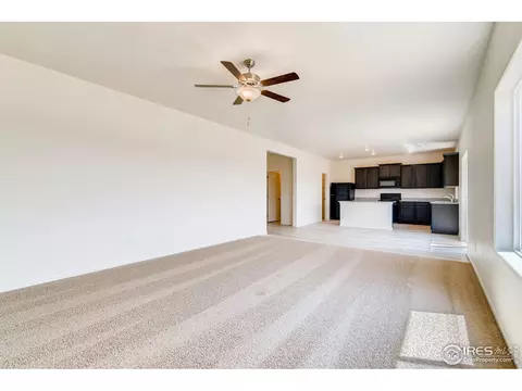 1085 Long Meadows St, Severance, CO 80550 photo 3
