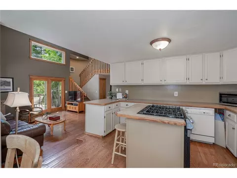 10057 Sprucedale Dr, Conifer, CO 80433 photo 18