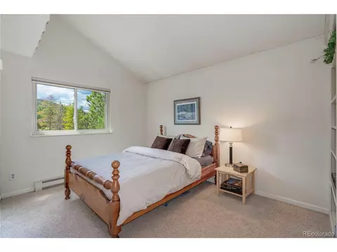10057 Sprucedale Dr, Conifer, CO 80433 photo 28
