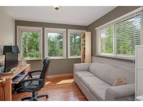 10057 Sprucedale Dr, Conifer, CO 80433 photo 23