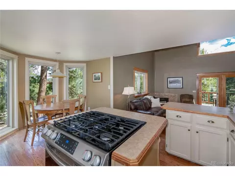 10057 Sprucedale Dr, Conifer, CO 80433 photo 19