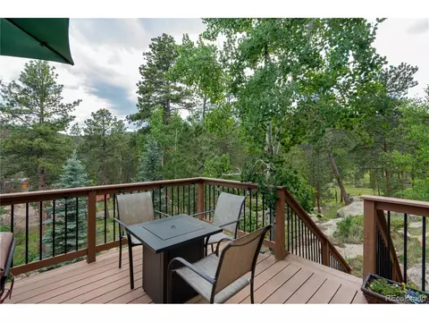 10057 Sprucedale Dr, Conifer, CO 80433 photo 33