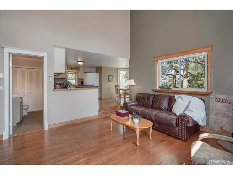 10057 Sprucedale Dr, Conifer, CO 80433 photo 15
