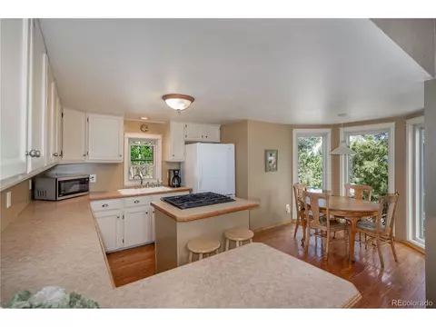 10057 Sprucedale Dr, Conifer, CO 80433 photo 21