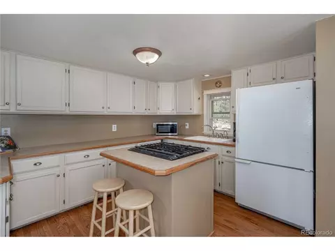 10057 Sprucedale Dr, Conifer, CO 80433 photo 20