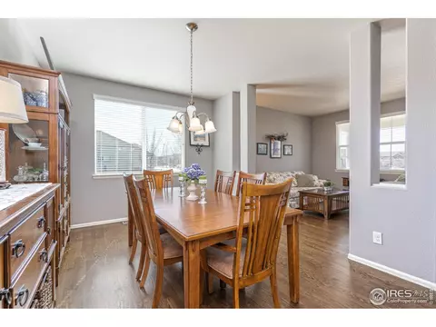 5646 Quarry St, Timnath, CO 80547 photo 8