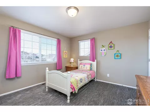 5646 Quarry St, Timnath, CO 80547 photo 31
