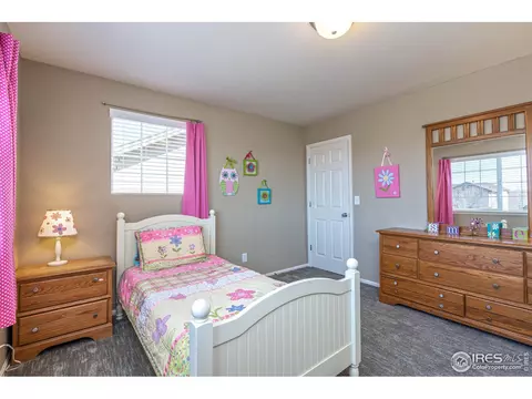 5646 Quarry St, Timnath, CO 80547 photo 32