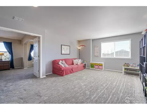 5646 Quarry St, Timnath, CO 80547 photo 22