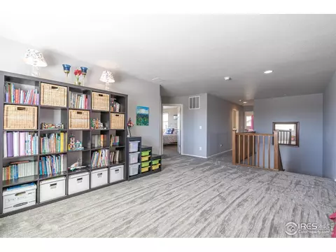 5646 Quarry St, Timnath, CO 80547 photo 21