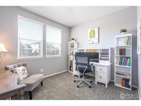 5646 Quarry St, Timnath, CO 80547 photo 19