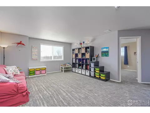 5646 Quarry St, Timnath, CO 80547 photo 20
