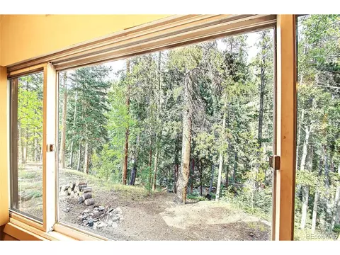 Other - 7739 County Road 43, Bailey, CO 80421 photo 4 of 6