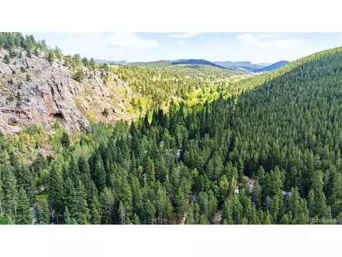 View/Area - 7739 County Road 43, Bailey, CO 80421 photo 4 of 4
