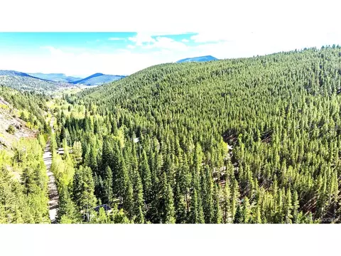 View/Area - 7739 County Road 43, Bailey, CO 80421 photo 1 of 4