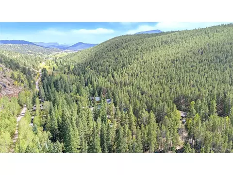 View/Area - 7739 County Road 43, Bailey, CO 80421 photo 2 of 4