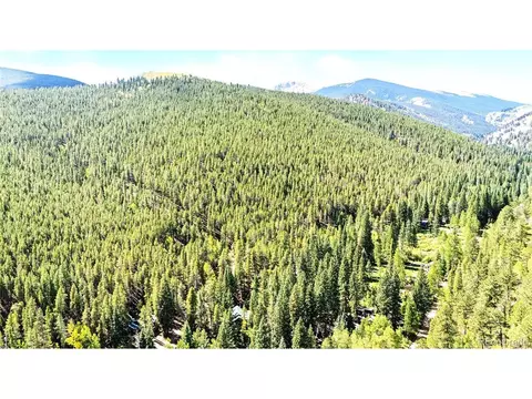 View/Area - 7739 County Road 43, Bailey, CO 80421 photo 3 of 4