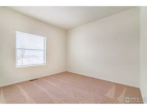 987 Cascade Falls St, Windsor, CO 80550 photo 11