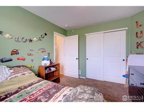 241 Pinebrook Ct, Windsor, CO 80550 photo 22