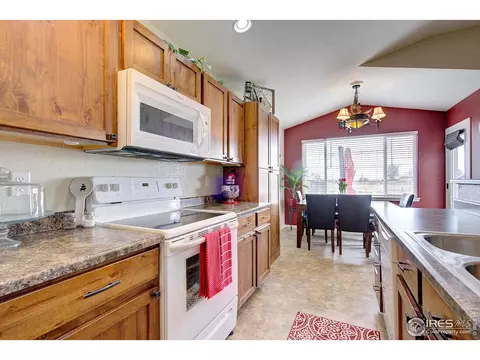 241 Pinebrook Ct, Windsor, CO 80550 photo 13