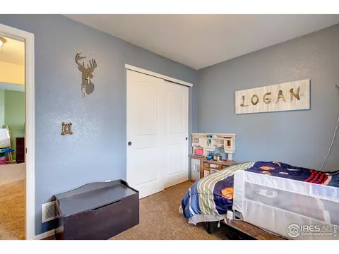 241 Pinebrook Ct, Windsor, CO 80550 photo 24