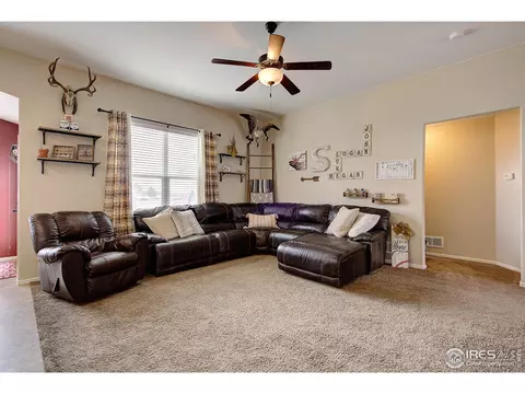 241 Pinebrook Ct, Windsor, CO 80550 photo 10