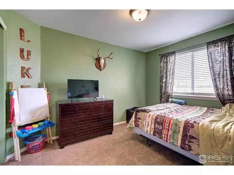 241 Pinebrook Ct, Windsor, CO 80550 photo 20