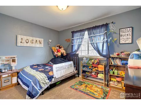 241 Pinebrook Ct, Windsor, CO 80550 photo 23